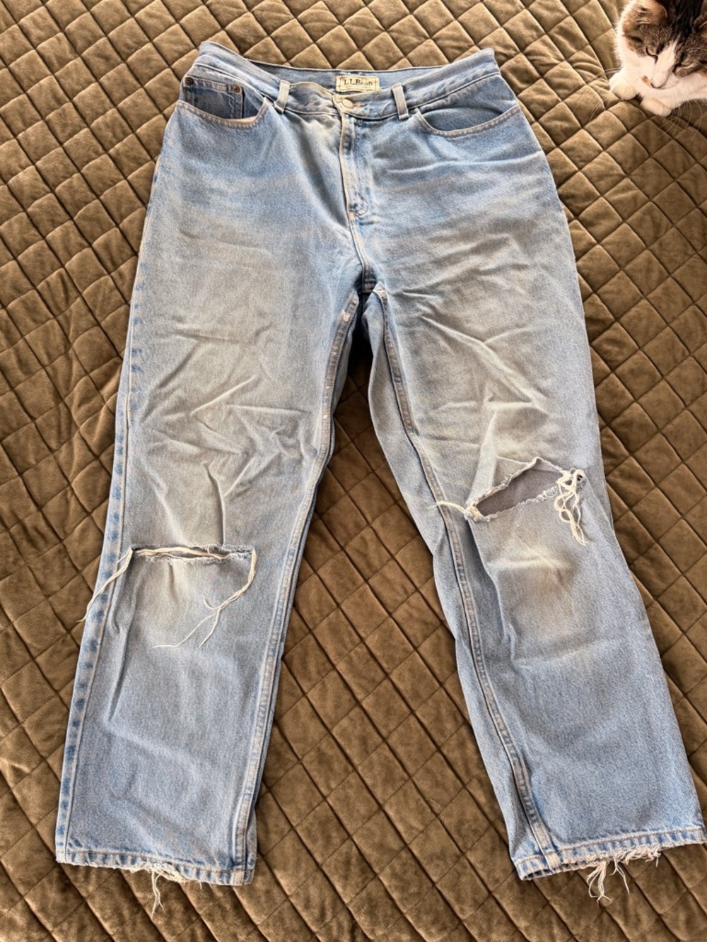 LL Bean Distressed Denim Jeans